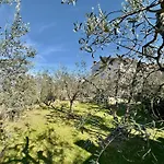 Apartment Belvedere - Vista Sulla Campagna Toscana